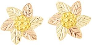 G312 MTR BHG EARRINGS - Berg Jewelry & Gifts